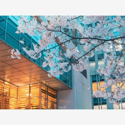 星力正版捕鱼下载手机版